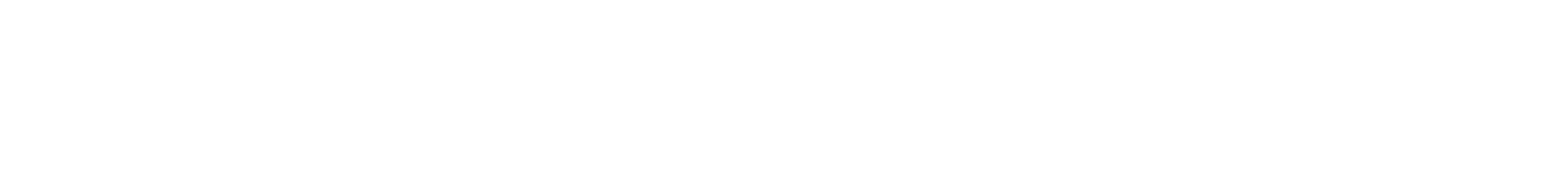 elbspeed